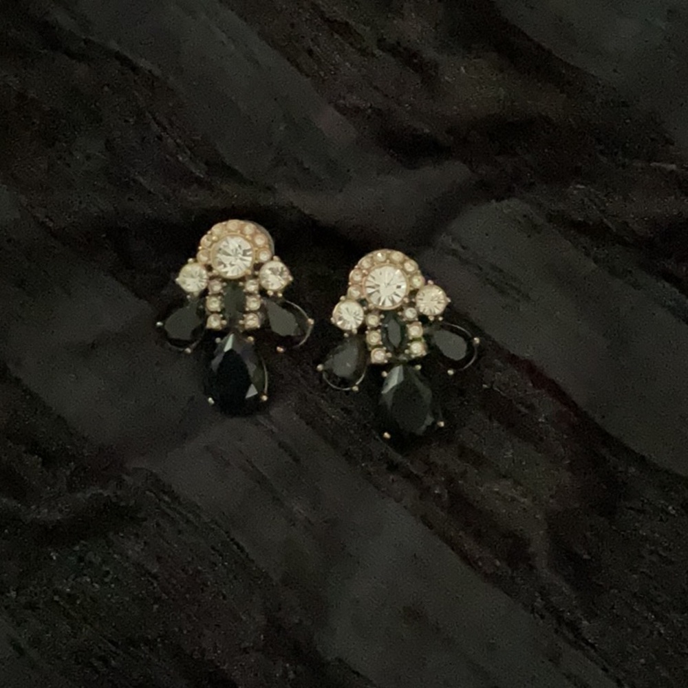 J Crew earrings
